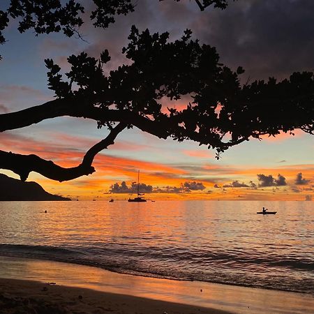 بو فالون Bord Mer Villa المظهر الخارجي الصورة