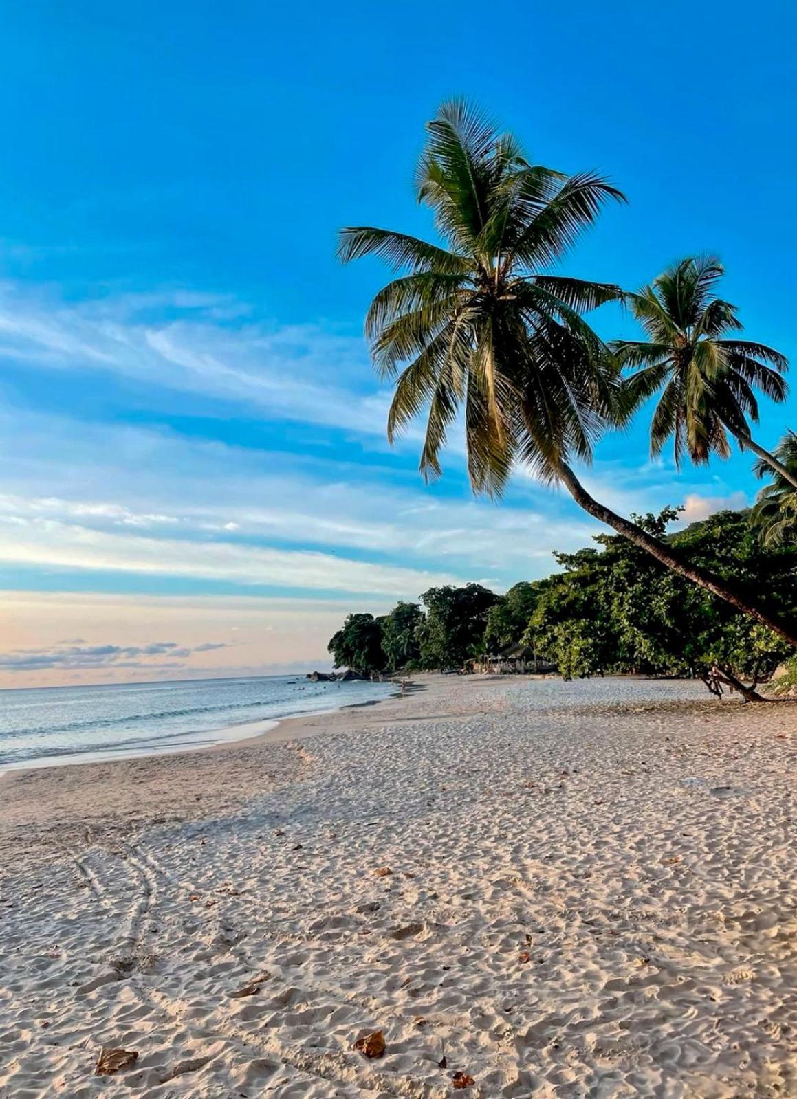 بو فالون Bord Mer Villa المظهر الخارجي الصورة